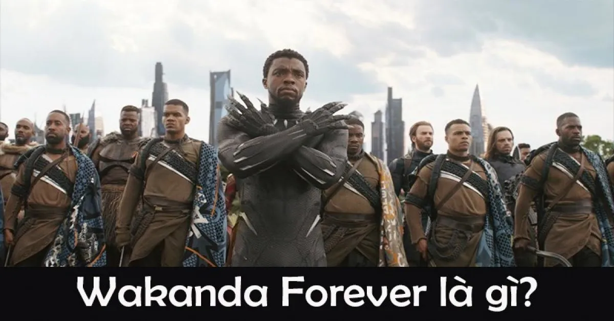 Wakanda Forever là gì? Nghĩa của từ này trong phim và cuộc sống