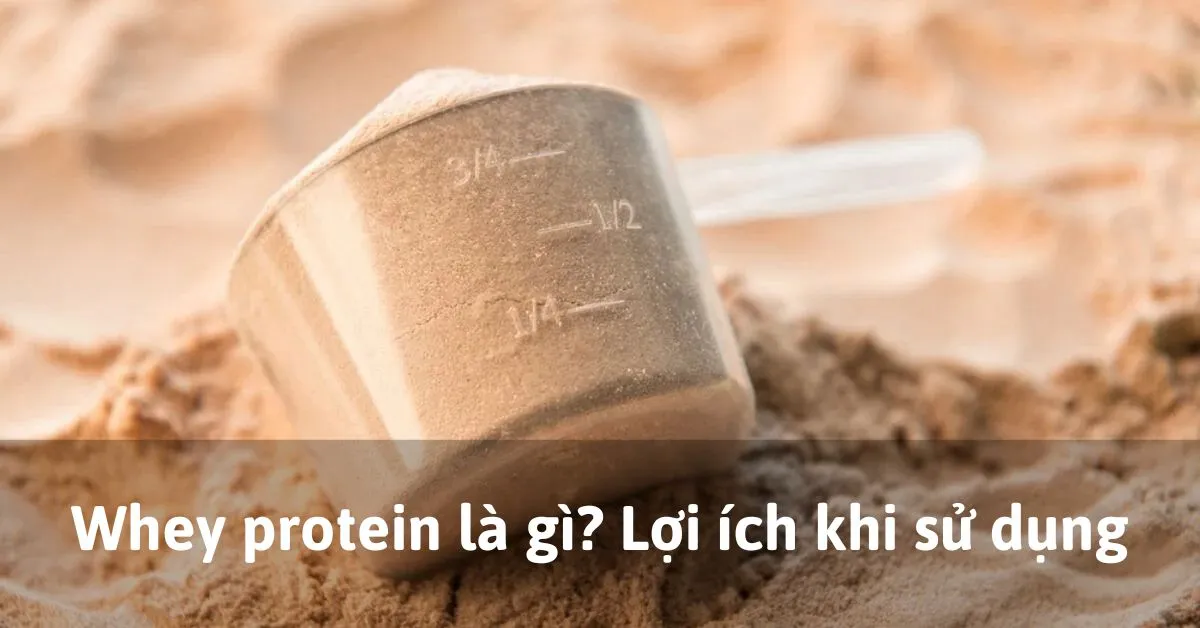 Whey protein là gì? Lợi ích khi sử dụng whey protein mang lại cho người dùng