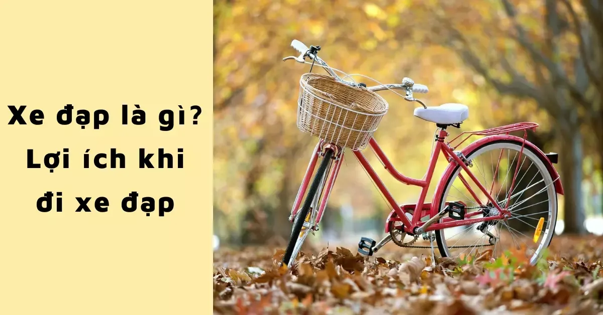 Xe đạp là gì? Những lợi ích mà xe đạp mang lại