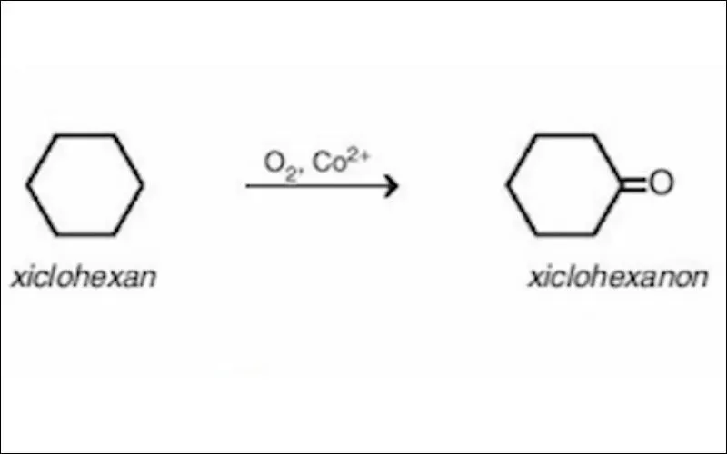 Xicloankan là gì? Cấu tạo, tính chất và cách điều chế của Xicloankan