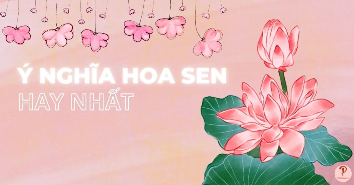 Ý nghĩa hoa sen qua màu sắc và đời sống tinh thần Việt Nam