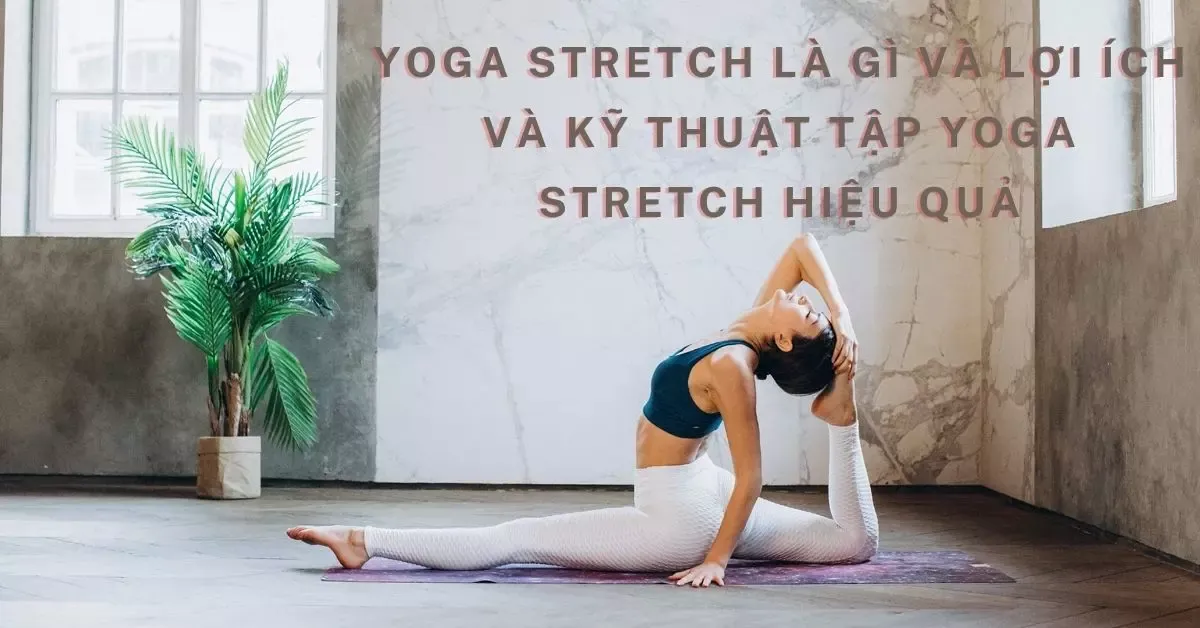 Yoga stretch là gì? Lợi ích và kỹ thuật tập Yoga stretch hiệu quả